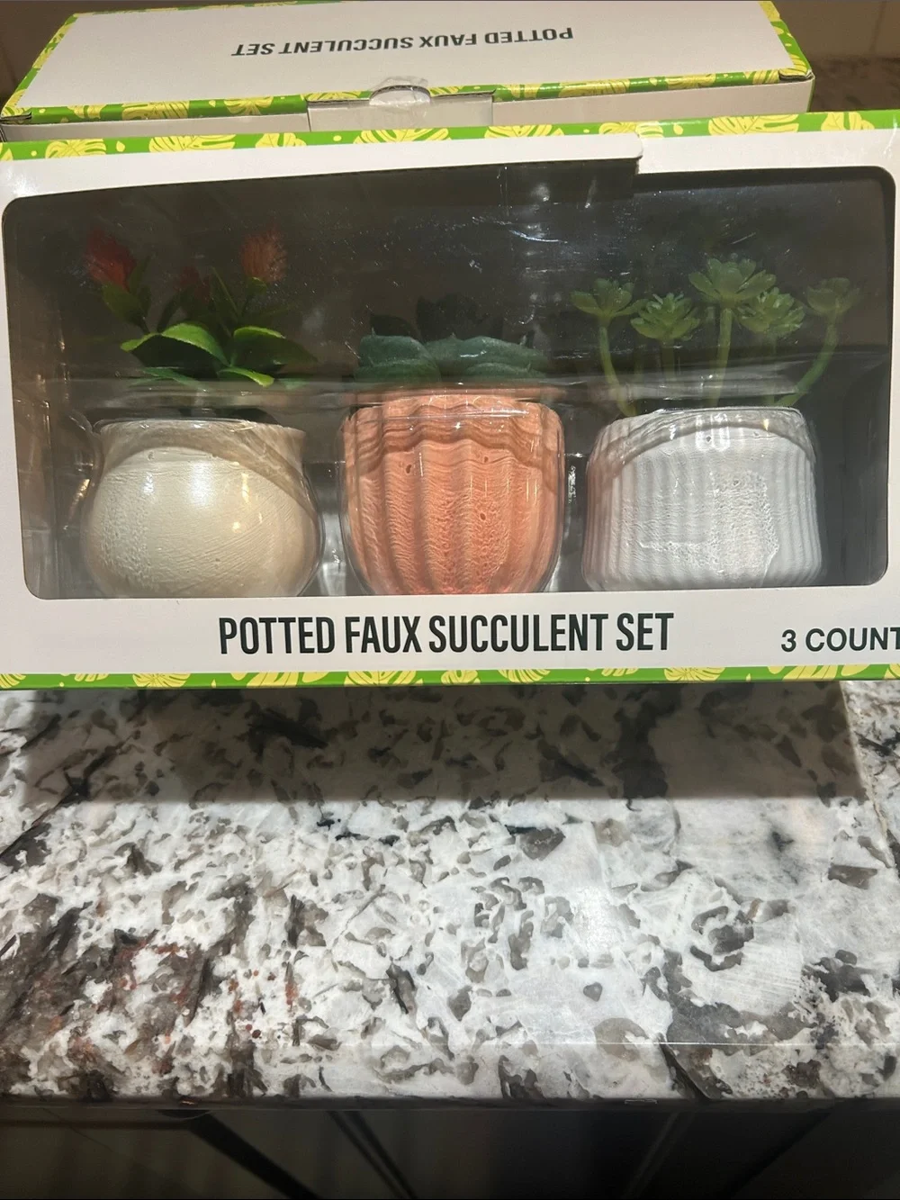 FESTIVE VOICE PITTED FAUX SUCCULENT SET NWT